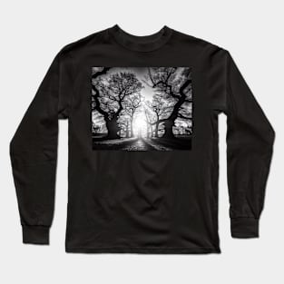 Sunlit Grove: Monochrome Majesty Long Sleeve T-Shirt